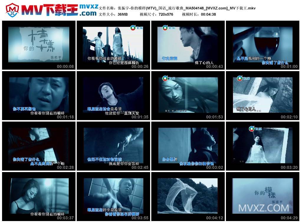 张振宇-你的模样(MTV)_国语_流行歌曲_MA504148